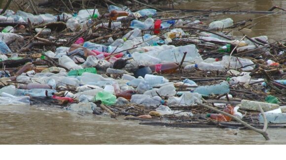 VIDEO | La Sighet, se caută soluții, dar și vinovații pentru problema pet-urilor aduse de ape