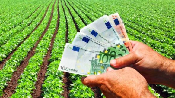 VIDEO | 100 de milioane de euro pentru instalarea tinerilor fermieri VIDEO | 100 de milioane de euro pentru instalarea tinerilor fermieri
