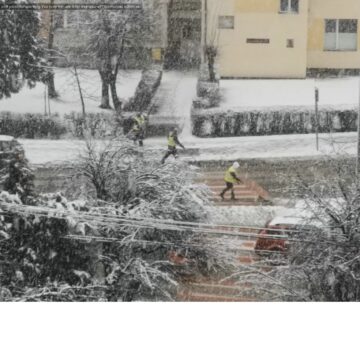 VIDEO | Primăvara rămâne doar în calendare