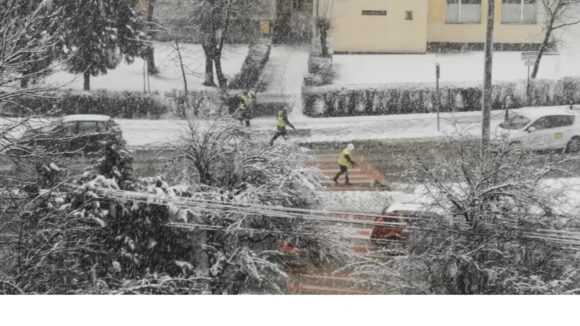VIDEO | Primăvara rămâne doar în calendare VIDEO | Primăvara rămâne doar în calendare
