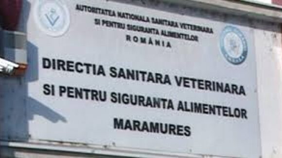 VIDEO | Activități derulate de către D.S.V.S.A. Maramureș în perioada premergătoare Sărbătorilor Pascale