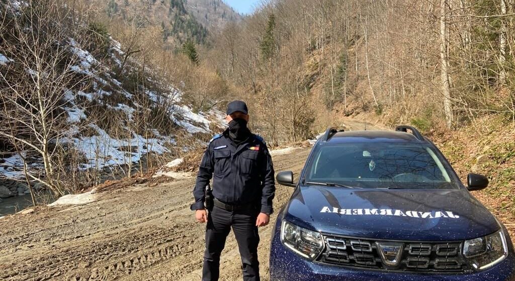 VIDEO | 171 DE STEJARI PENTRU ROMÂNIA: Inspectoratul de Jandarmi Judeţean Maramureş organizează o activitate de plantare puieți