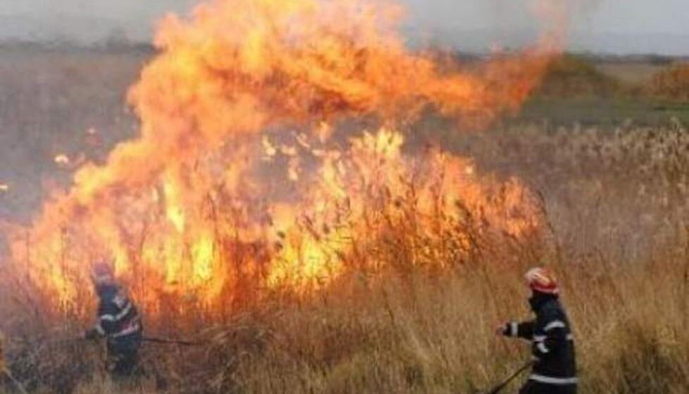 VIDEO | Recomandări privind prevenirea incendiile de vegetație uscată