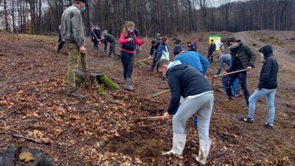 VIDEO | Jandarmii maramureșeni au plantat 171 de stejari VIDEO | Jandarmii maramureșeni au plantat 171 de stejari
