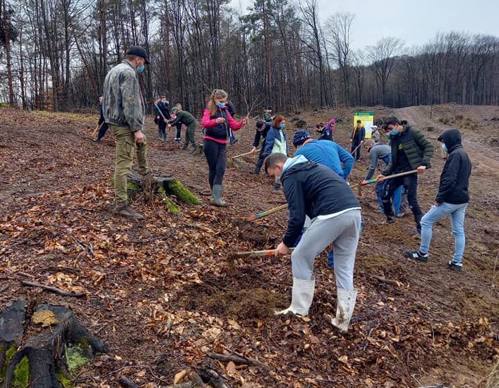 VIDEO | Jandarmii maramureșeni au plantat 171 de stejari