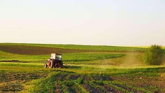 VIDEO | În perioada 10 mai – 31 iulie 2021 se va desfăsura Recensământul Agricol VIDEO | În perioada 10 mai – 31 iulie 2021 se va desfăsura Recensământul Agricol