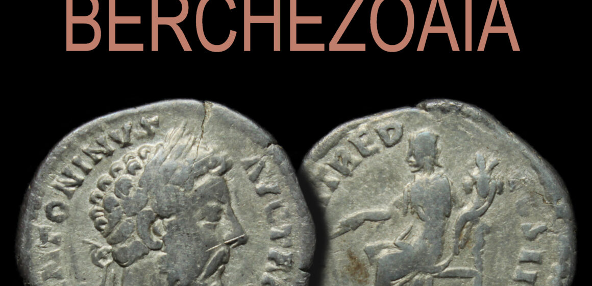 EXPOZIȚIE: Tezaurul de denari romani de la Berchezoaia