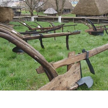 VIDEO | ”Plugul, temelia bunăstării satului”- expoziție deschisă la Muzeul Județean de Etnografie și Artă Populară Maramureș