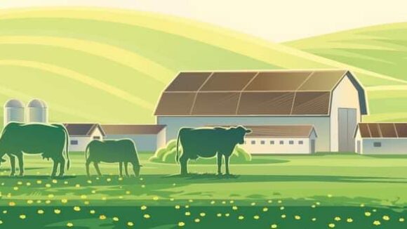 VIDEO | Cetățenii comunei Bârsana sunt îndemnați să participe responsabil la recensământul agricol VIDEO | Cetățenii comunei Bârsana sunt îndemnați să participe responsabil la recensământul agricol