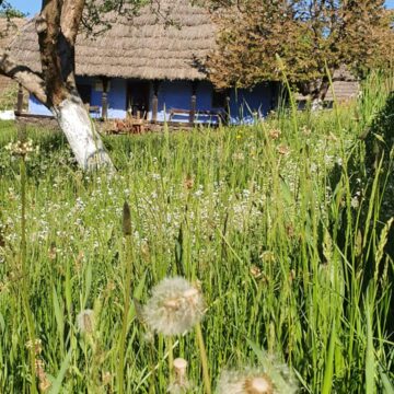 VIDEO | 18 Mai, Ziua Internațională a Muzeelor