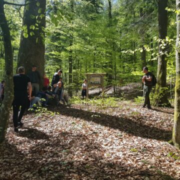 VIDEO | Absolvenți ai Liceului Tehnologic Forestier Sighet, în vizită în pădurea virgină de la Strâmbu Băiuț