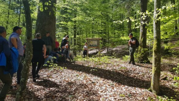 VIDEO | Absolvenți ai Liceului Tehnologic Forestier Sighet, în vizită în pădurea virgină de la Strâmbu Băiuț