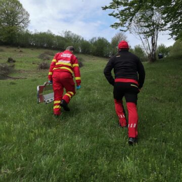 VIDEO | BUDEȘTI: Un bărbat a murit strivit de un copac