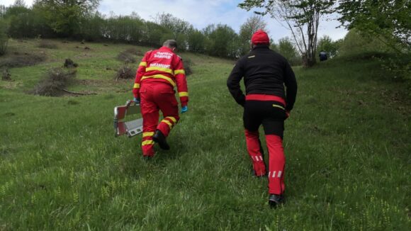 VIDEO | BUDEȘTI: Un bărbat a murit strivit de un copac VIDEO | BUDEȘTI: Un bărbat a murit strivit de un copac