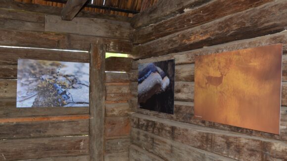 Expoziție de fotografie ”Pădurile seculare de la Strâmbu Băiuț”- la Muzeul Satului din Sighet Expoziție de fotografie ”Pădurile seculare de la Strâmbu Băiuț”- la Muzeul Satului din Sighet