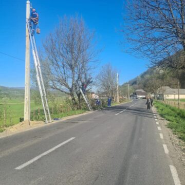 VIDEO | LUCRĂRI: Extindere de rețea electrică în comuna Bârsana