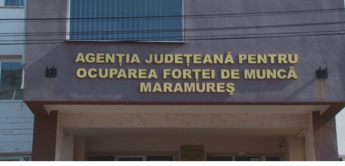 VIDEO: 437 locuri de muncă pe listele AJOFM Maramureș VIDEO: 437 locuri de muncă pe listele AJOFM Maramureș