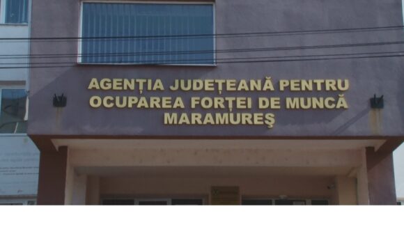 VIDEO | Oferta locurilor de muncă rămâne în continuare foarte limitată pentru cei cu studii superioare, în județul Maramureș