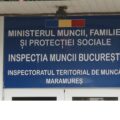 ITM MARAMUREȘ: Acțiuni de control în domeniul exploatări forestiere – 8 societăți sancționate