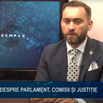 PUR ȘI SIMPLU | DESPRE PARLAMENT, COMISII ȘI JUSTIȚIE PUR ȘI SIMPLU | DESPRE PARLAMENT, COMISII ȘI JUSTIȚIE