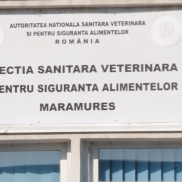 Video | Verificări la fermieri