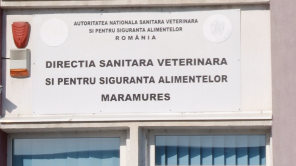 VIDEO | Nereguli descoperite de DSVSA Maramureș înainte de Paște VIDEO | Nereguli descoperite de DSVSA Maramureș înainte de Paște