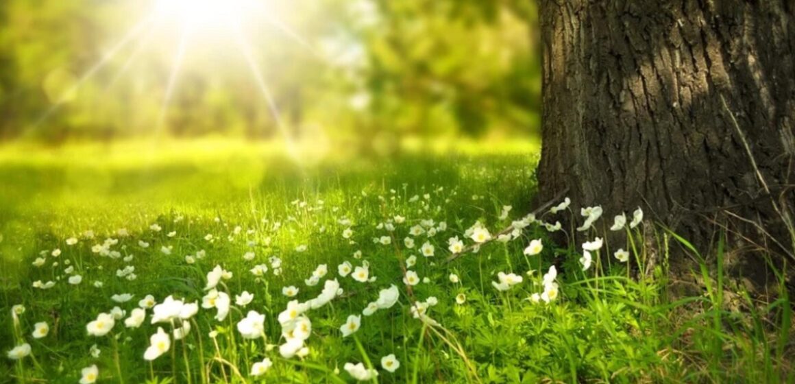 Prognoza meteo pe o lună, actualizată. Schimbări RADICALE – cum va fi vremea până pe 14 IUNIE