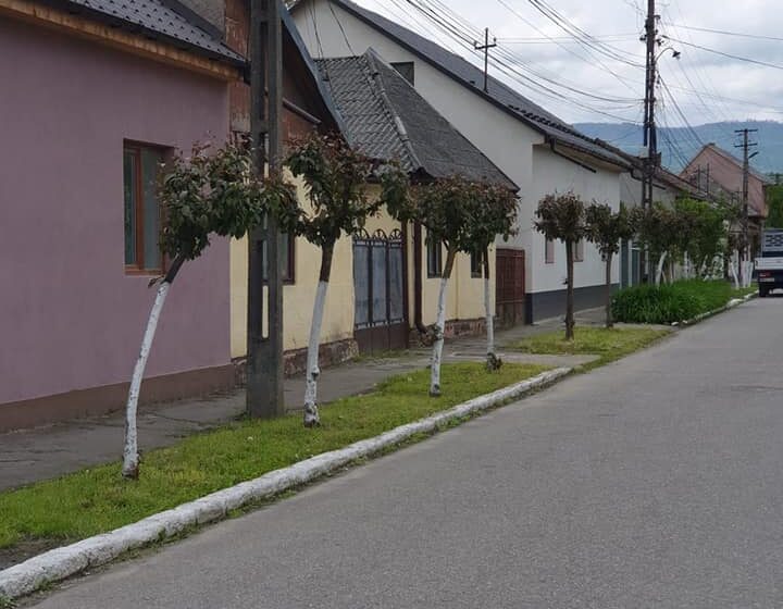 VIDEO | PRIMĂRIA SIGHET: Informare cu privire la obligațiile ce revin cetățenilor pentru întreținerea spațiilor verzi și a protecției mediului