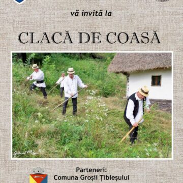 VIDEO | Clacă de coasă în Satul de pe Deal