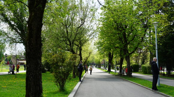 Noi tendințe în stilul de viață post-pandemie Noi tendințe în stilul de viață post-pandemie