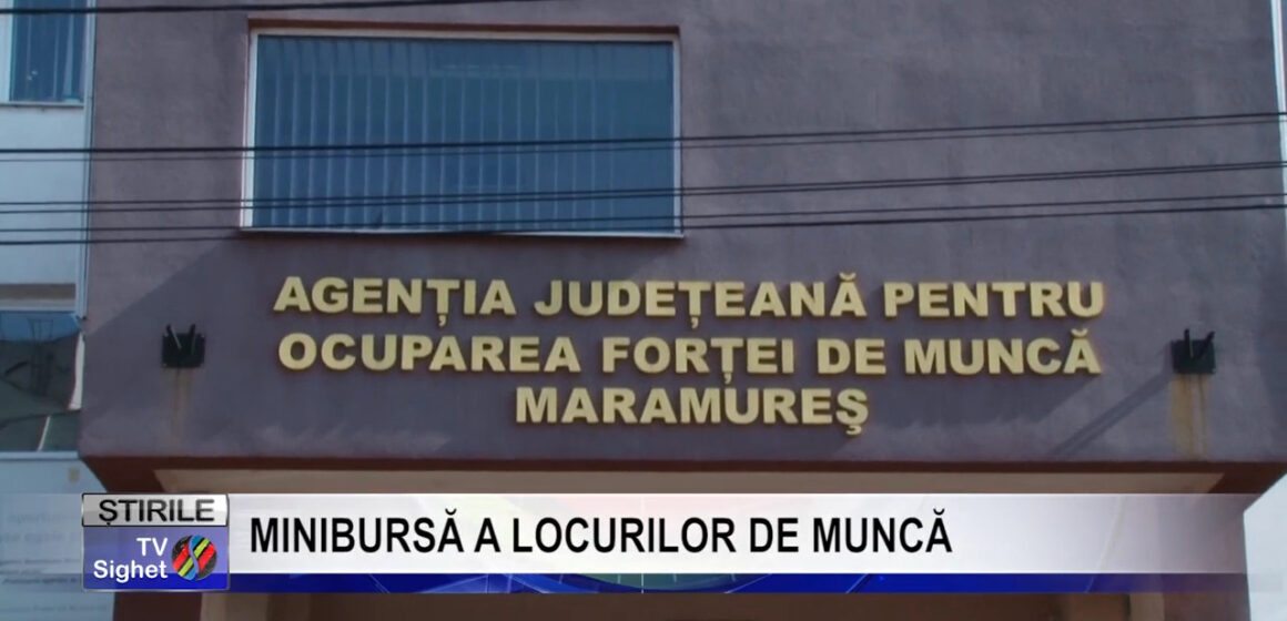 VIDEO | Minibursă a locurilor de muncă la Târgu Lăpuș