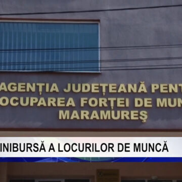 VIDEO | Minibursă a locurilor de muncă la Târgu Lăpuș VIDEO | Minibursă a locurilor de muncă la Târgu Lăpuș