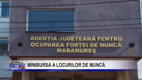 VIDEO | Minibursă a locurilor de muncă la Târgu Lăpuș