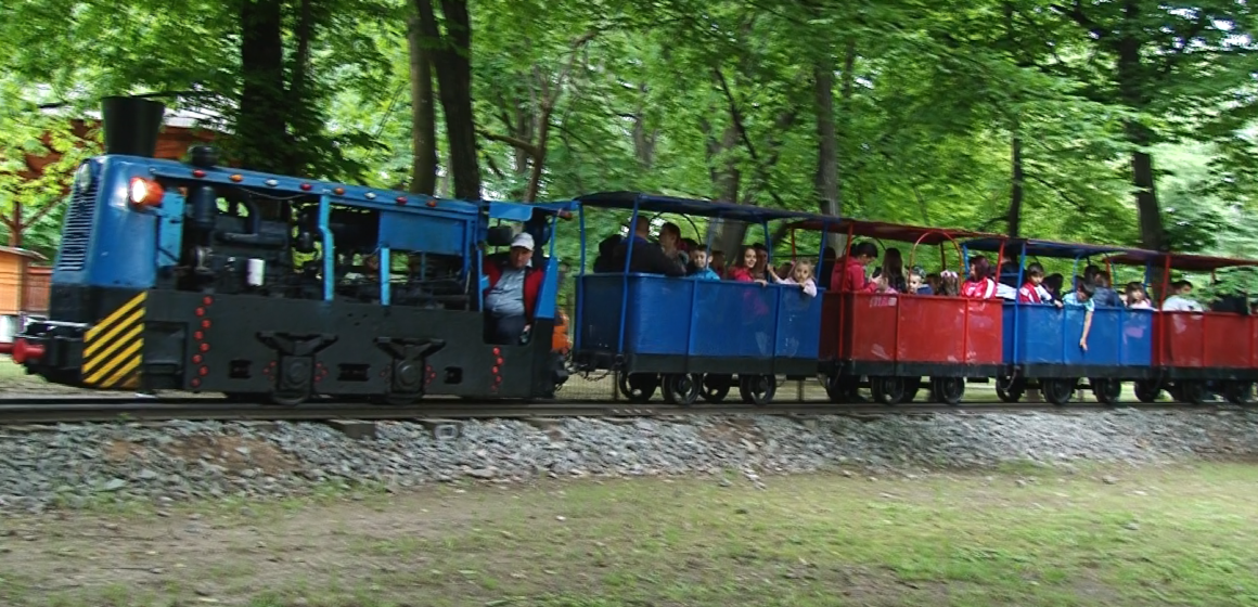 VIDEO | BAIA MARE: Trenulețul din parc, principala atracție a copiilor de 1 iunie VIDEO | BAIA MARE: Trenulețul din parc, principala atracție a copiilor de 1 iunie