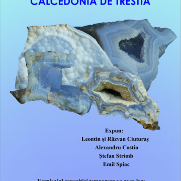 Calcedonia de Trestia – o expoziție impresionantă la Muzeul Județean de Mineralogie