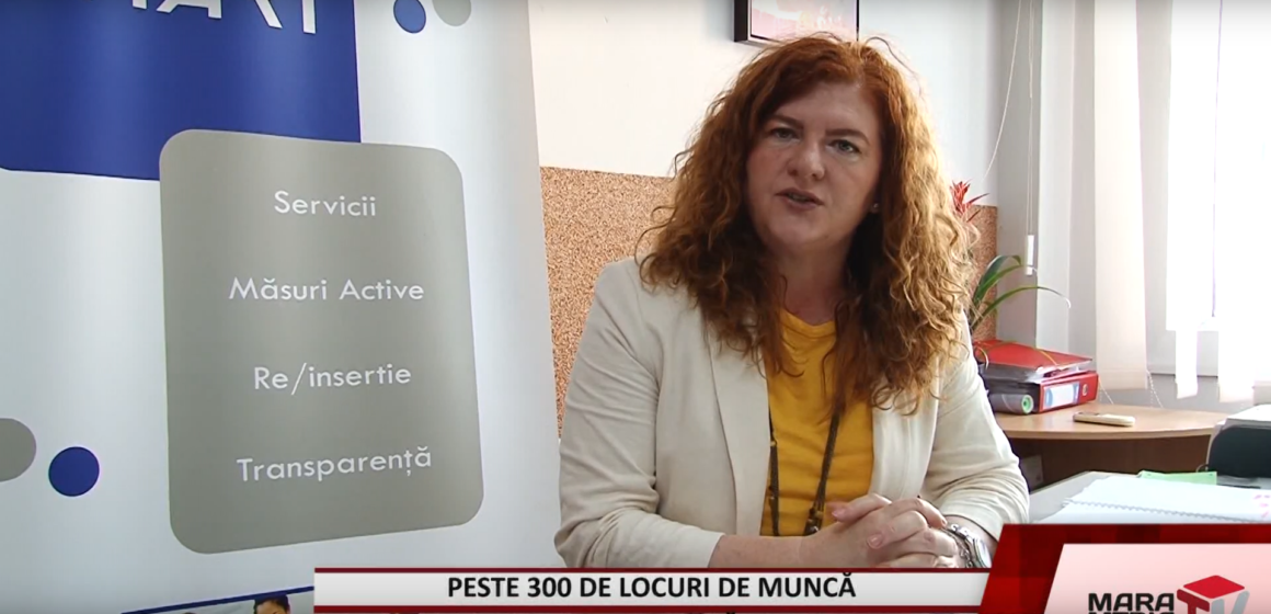 VIDEO | Peste 300 de locuri de muncă la Bursa locurilor de muncă organizată de AJOFM Maramureș