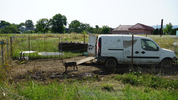 Fotografia zilei | Utilitatea unei mașini uzate