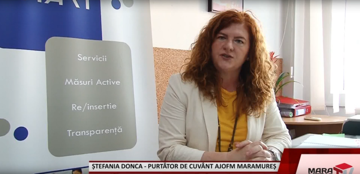 AUDIO | Locuri de muncă diverse la Mini-bursa locurilor de muncă organizată de AJOFM Maramureș
