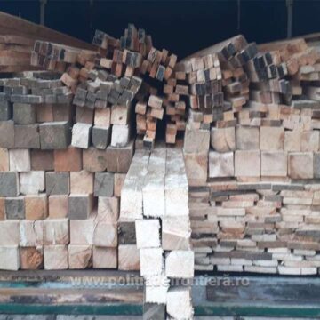 Căra lemne pentru care nu avea acte ascunse în spatele unor navete de bere