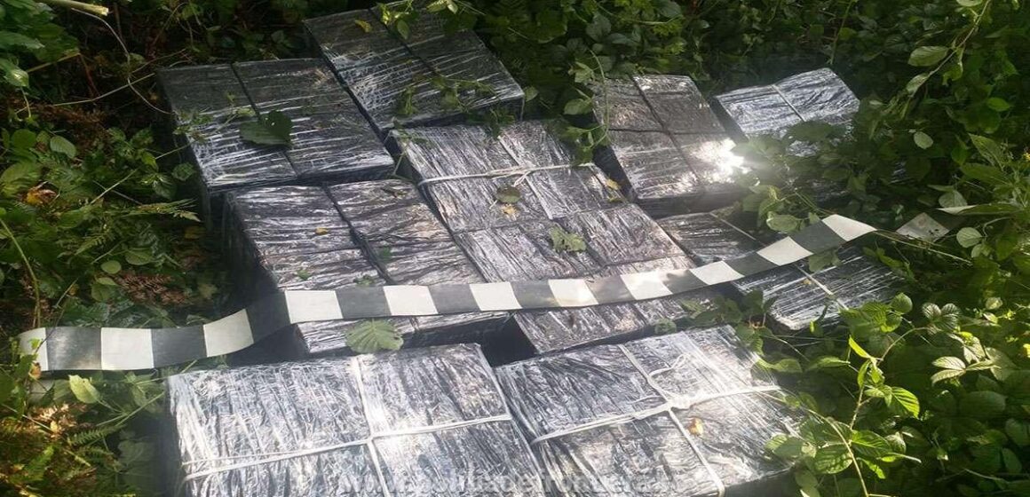 Țigări ascunse în vegetație pe direcția localității Lunca la Tisa