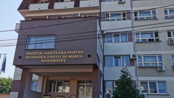 Video | Peste 400 de locuri de muncă disponibile pe listele AJOFM