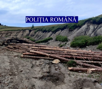 Acțiuni pentru combaterea tăierilor ilegale de arbori