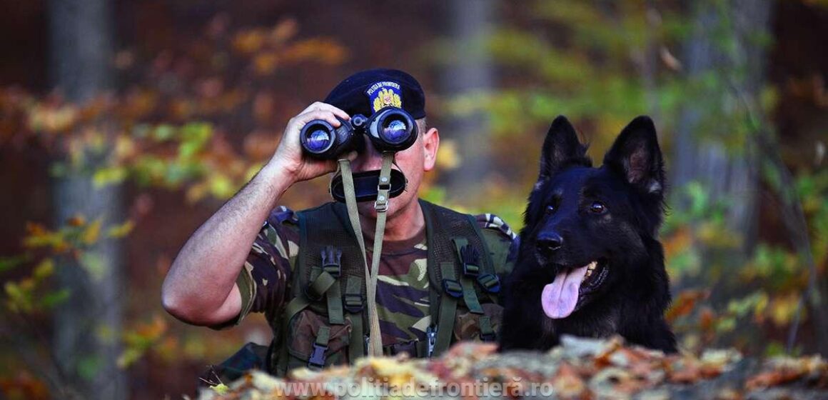 420 de posturi vacante scoase la concurs, prin încadrare directă, la nivelul Poliției de Frontieră Române