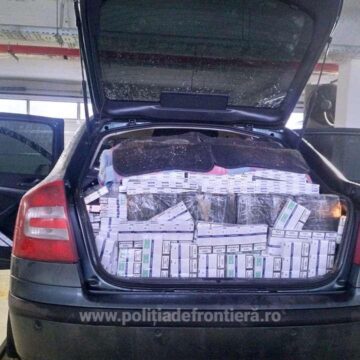 Video | Țigări de contrabandă descoperite de frontieriști la granița cu Ucraina Video | Țigări de contrabandă descoperite de frontieriști la granița cu Ucraina