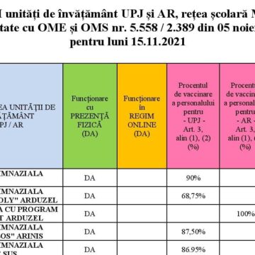 În 76 de unități de învățământ din Maramureș se vor desfășura cursurile în regim online