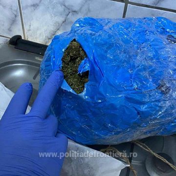 Video | Maramureșean reținut cu aproximativ 2 kg de canabis