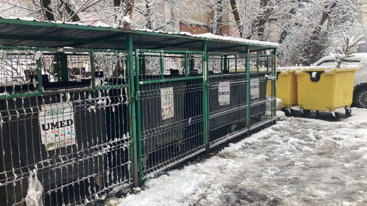 ADI Deșeuri Maramureș: Drusal încasează de două ori pentru cantitățile de deșeuri ale agenților economici fără recipienți individuali ADI Deșeuri Maramureș: Drusal încasează de două ori pentru cantitățile de deșeuri ale agenților economici fără recipienți individuali