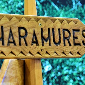 Consiliul Județean Maramureș a dat undă verde înființării Asociației ”Organizația de Management al Destinației Județene Maramureș”
