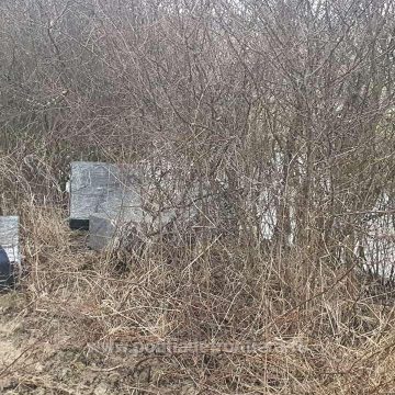 Video | Țigări s-au găsit, contrabandiștii au fugit