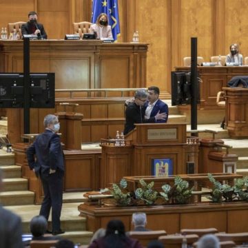 Călin Bota: Atitudinile huliganice nu au ce căuta în Parlamentul României